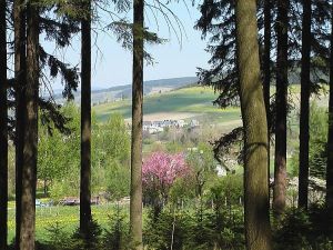 unweit des Ferienhauses Blick auf Ort, dem Schießberg und Liebenstein - Bild 8: Ferienhaus Familie Ziller Crottendorf Erzgebirge