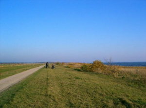 Erkunden Sie auch die Gegend mit dem Fahrrad. - Bild 22: Ostseeurlaub Piratennest Darß - Hundeparadies - Wassergrundstück