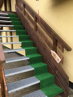 Die Wohnung erreichen Sie über eine hundefreundliche Außentreppe (12 Stufen, Podest (überdacht), Flur, Wohnung. - Bild 5: Ostseeurlaub Piratennest Darß - Hundeparadies - Wassergrundstück