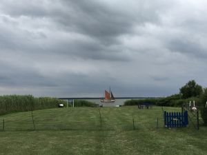 Blick auf unser Wassergrundstück mit Hundespielplatz, Parkplatz, Sauna;
Spiel-und Liegewiese..... - Bild 12: Ostseeurlaub Piratennest Darß - Hundeparadies - Wassergrundstück