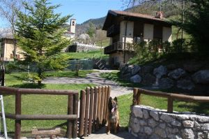 Bild 6: hundefreundliches Haus Giulia mit eingez. Garten Oberitalien