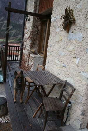 Bild 20: hundefreundliches Haus Giulia mit eingez. Garten Oberitalien