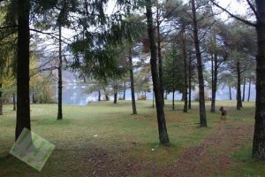 Bild 24: hundefreundliches Haus Giulia mit eingez. Garten Oberitalien