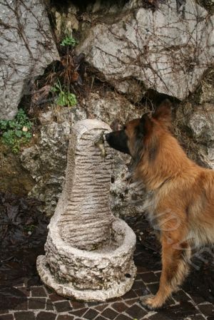 Bild 19: hundefreundliches Haus Giulia mit eingez. Garten Oberitalien