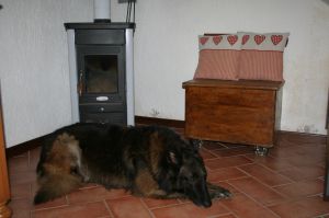 Bild 8: hundefreundliches Haus Giulia mit eingez. Garten Oberitalien
