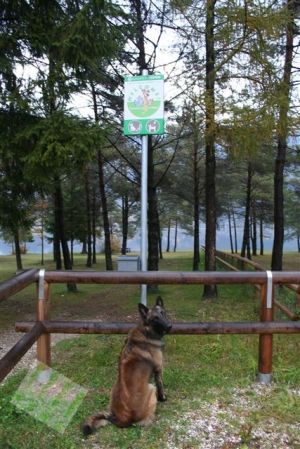 Bild 26: hundefreundliches Haus Giulia mit eingez. Garten Oberitalien