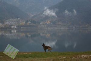 Bild 21: hundefreundliches Haus Giulia mit eingez. Garten Oberitalien
