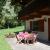 Galeriebild 5