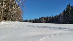 Bild 22: Waldhaus Sonnenberg Fewo 1, der Traum von absoluter Ruhe und Erholung