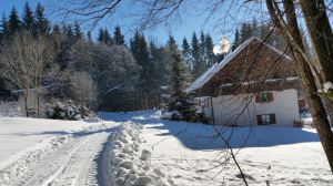 Bild 23: Waldhaus Sonnenberg Fewo 1, der Traum von absoluter Ruhe und Erholung