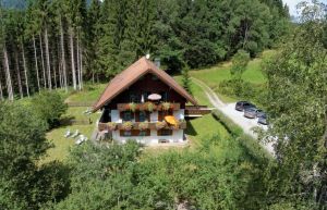 Bild 3: Waldhaus Sonnenberg Fewo 1, der Traum von absoluter Ruhe und Erholung