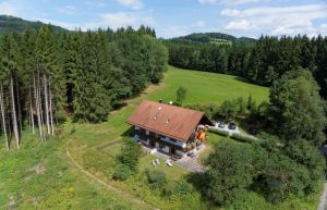 Bild 4: Waldhaus Sonnenberg Fewo 1, der Traum von absoluter Ruhe und Erholung