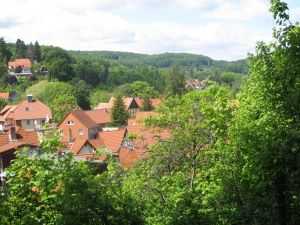 Bild 1: Harz – Erholung im Nationalparkort Ilsenburg – Ferienhaus im Garten