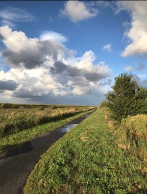 Bild 10: Schicke Fewo an der südlichen Nordseeküste-Ostfriesland