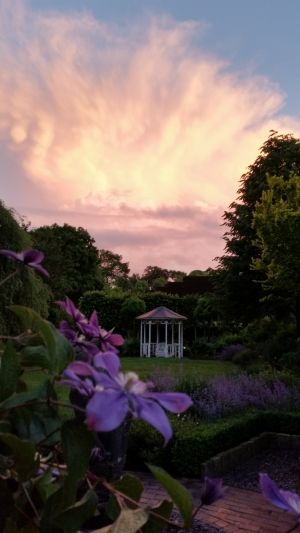 Der abendliche Blick von der Terasse in den Garten - Bild 23: Schicke Fewo an der südlichen Nordseeküste-Ostfriesland