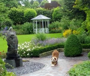 Blick von der Terasse - Bild 12: Schicke Fewo an der südlichen Nordseeküste-Ostfriesland
