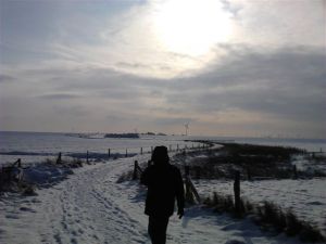 Bild 50: Schicke Fewo an der südlichen Nordseeküste-Ostfriesland