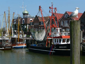 Bild 32: Schicke Fewo an der südlichen Nordseeküste-Ostfriesland