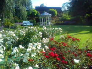 Bild 11: Schicke Fewo an der südlichen Nordseeküste-Ostfriesland