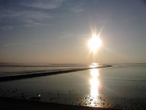 Bild 39: Schicke Fewo an der südlichen Nordseeküste-Ostfriesland