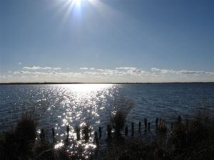 Bild 56: Schicke Fewo an der südlichen Nordseeküste-Ostfriesland