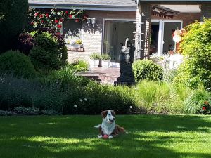 Blick vom Garten zur Terasse - Bild 18: Schicke Fewo an der südlichen Nordseeküste-Ostfriesland