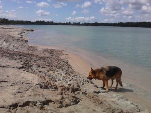 Bild 33: Schicke Fewo an der südlichen Nordseeküste-Ostfriesland
