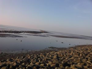 Bild 21: Schicke Fewo an der südlichen Nordseeküste-Ostfriesland