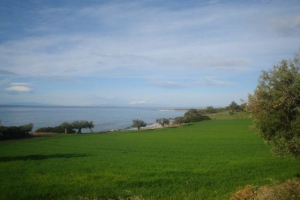 Bild 1: Apartments im " Haus Dionisos" in Sithonia