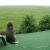 Galeriebild 5