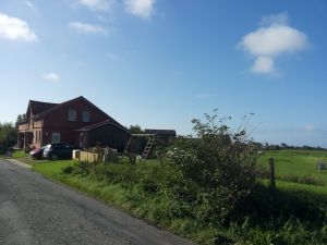 Rundherum freier Blick über grüne Wiesen - Bild 7: Radmokerhus Nordseeinsel Pellworm