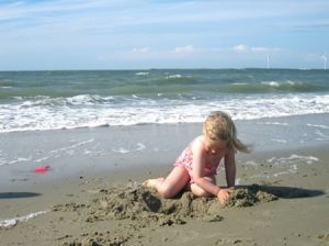 Bild 32: Zeeland Strandhaus - Ihr Ferienhaus direkt an Meer & Strand!