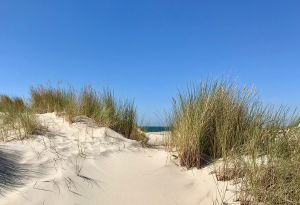 Bild 28: Zeeland Strandhaus - Ihr Ferienhaus direkt an Meer & Strand!
