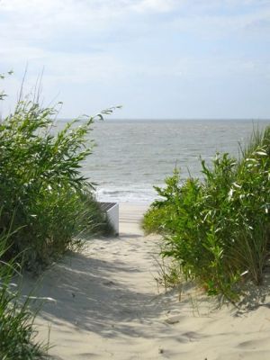 Bild 25: Zeeland Strandhaus - Ihr Ferienhaus direkt an Meer & Strand!