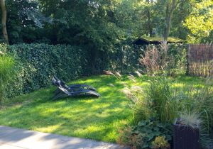 Bild 23: Zeeland Strandhaus - Ihr Ferienhaus direkt an Meer & Strand!