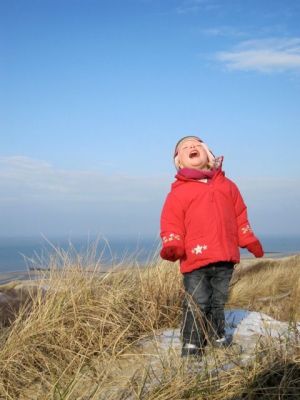 Bild 33: Zeeland Strandhaus - Ihr Ferienhaus direkt an Meer & Strand!