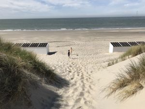Bild 30: Zeeland Strandhaus - Ihr Ferienhaus direkt an Meer & Strand!
