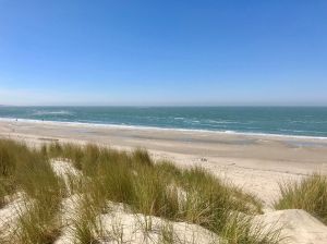 Bild 29: Zeeland Strandhaus - Ihr Ferienhaus direkt an Meer & Strand!