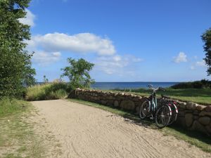 Bild 25: exklusive Reetdach Villa nur 500 Meter bis zum Strand für 6+2 Personen