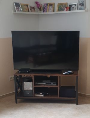 Bild 10: Urlaub an der Mosel mit Hund