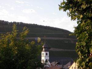 Bild 28: Urlaub an der Mosel mit Hund
