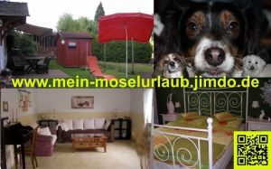 mit Hund - Bild 1: Urlaub an der Mosel mit Hund