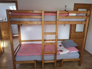 Bild 19: Ferienwohnung Haus Maria Hochschwarzwald