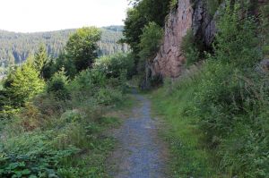 Bild 16: Ferienwohnung Haus Maria Hochschwarzwald