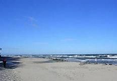 Bild 11: Komfortwohnung im EG, bis zu 4 Pers.; W-LAN; am Küstenwald, strandnah