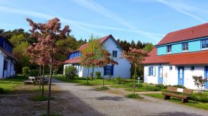 Bild 8: Komfortwohnung im EG, bis zu 4 Pers.; W-LAN; am Küstenwald, strandnah