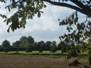 Bild 19: ideale Lage am Naturschutzgebiet für Mensch und Hund,'Ferienhaus zur Birk'