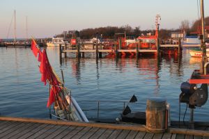 auch im Herbst und Winter zeugt die Insel ihre Reize, nun ist es ruhig und beschaulich - Bild 1: BACKBORD-HAUS strandnaher Hundeurlaub im ruhig gelegenen Ferienhaus