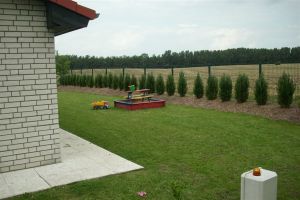 viel Platz zum Ballspiel - Bild 5: BACKBORD-HAUS strandnaher Hundeurlaub im ruhig gelegenen Ferienhaus