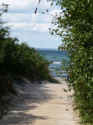vom Privatweg zum Strand - Bild 11: BACKBORD-HAUS strandnaher Hundeurlaub im ruhig gelegenen Ferienhaus